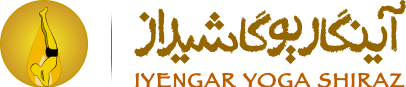Iyengar Yoga Shiraz