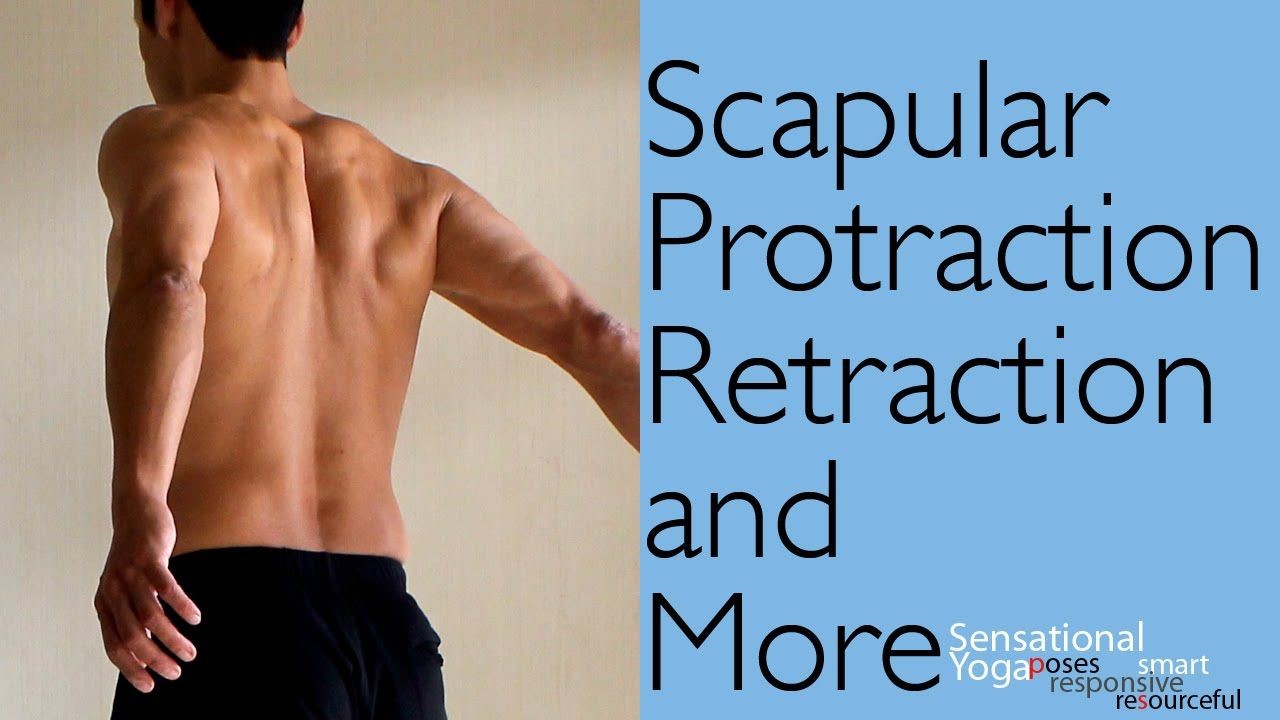 Scapular Protraction Retraction