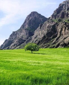 رابطه طبیعت با آرامش روح
