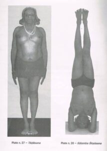 Salamba Sirsasana