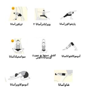 برنامه یوگا مبتدی